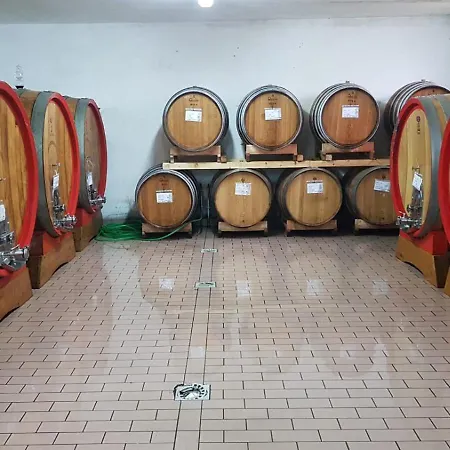 Paradisino Musico Montalcino
