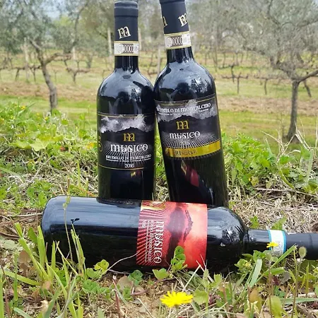 Paradisino Musico Alloggio per agriturismo Montalcino