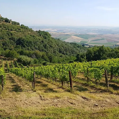 Alloggio per agriturismo Paradisino Musico *
