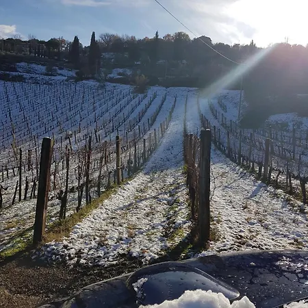 Paradisino Musico Montalcino