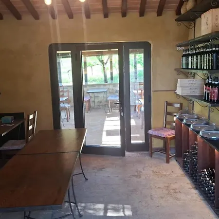 Paradisino Musico *