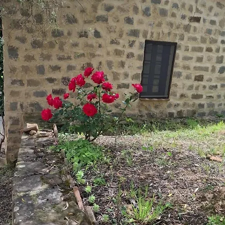 Paradisino Musico Alloggio per agriturismo