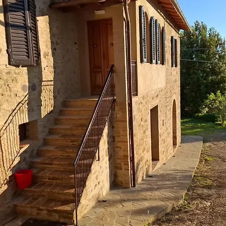 Paradisino Musico