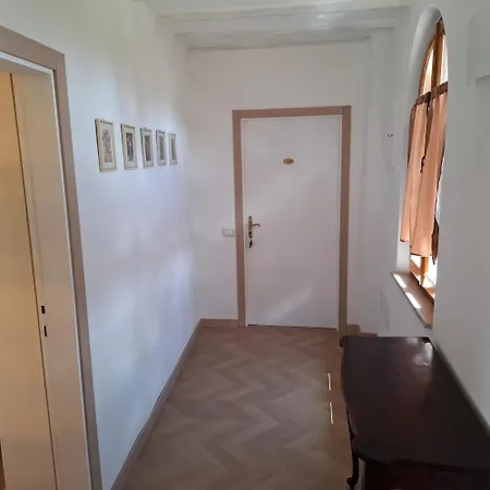 Paradisino Musico