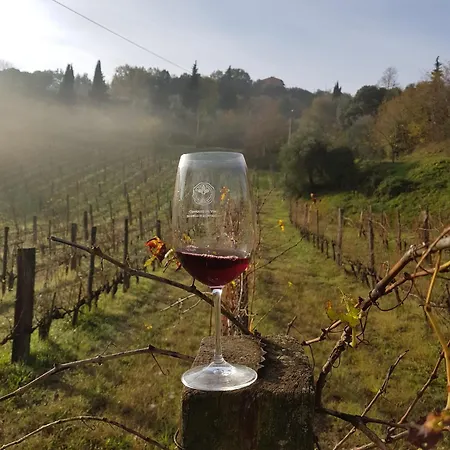 Farm stay Paradisino Musico Montalcino