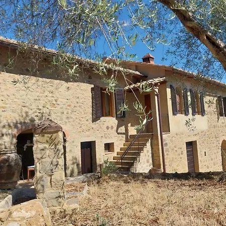 Paradisino Musico * Montalcino