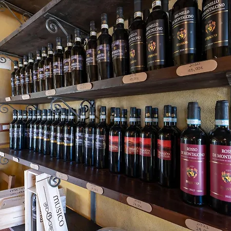 Paradisino Musico Montalcino
