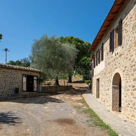 Paradisino Musico * Montalcino