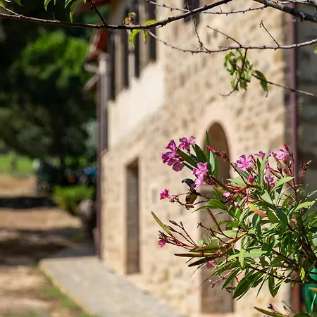 Farm stay Paradisino Musico